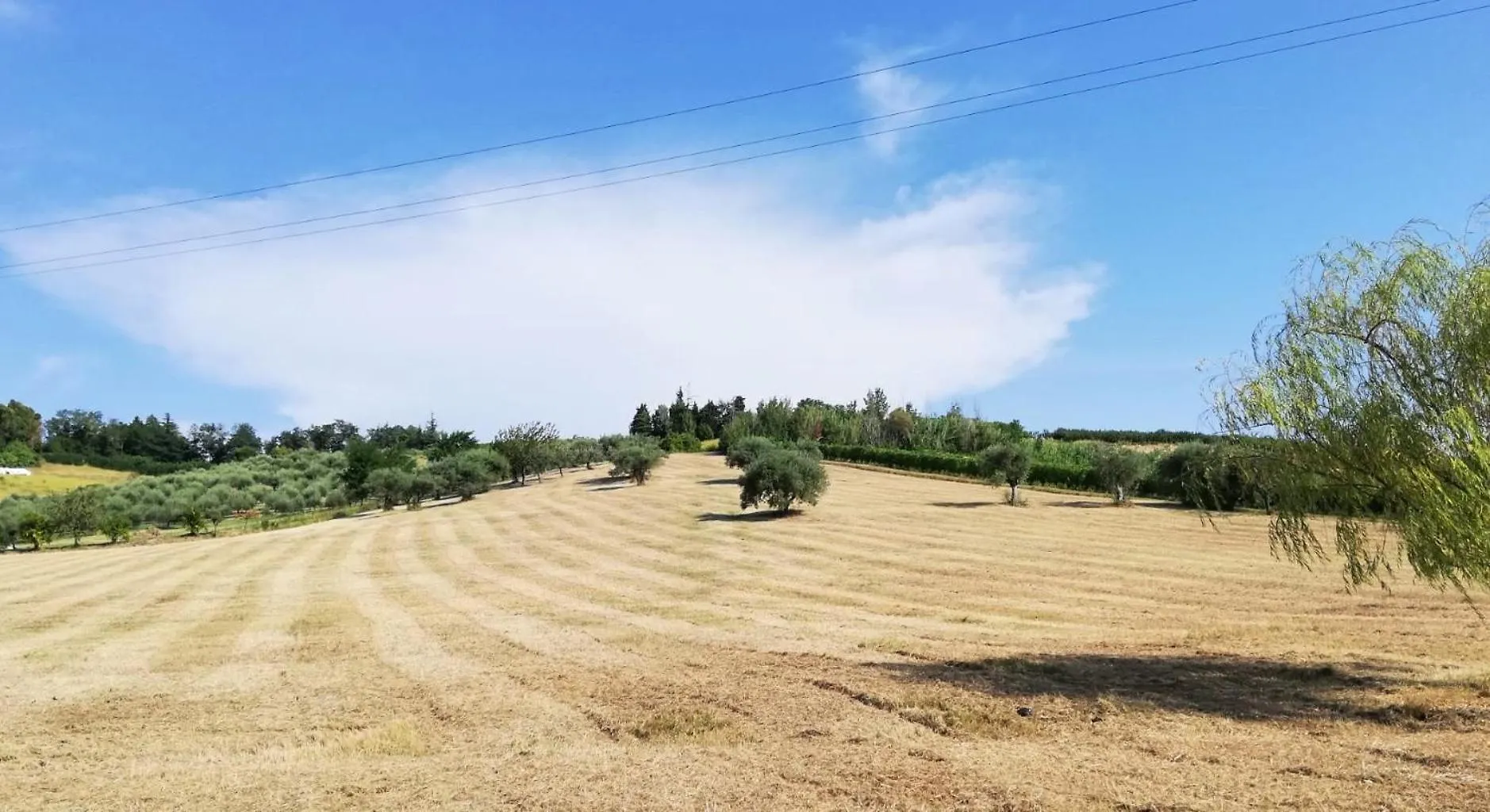 Colle Gelso Konuk evi Cesena Kır Evi